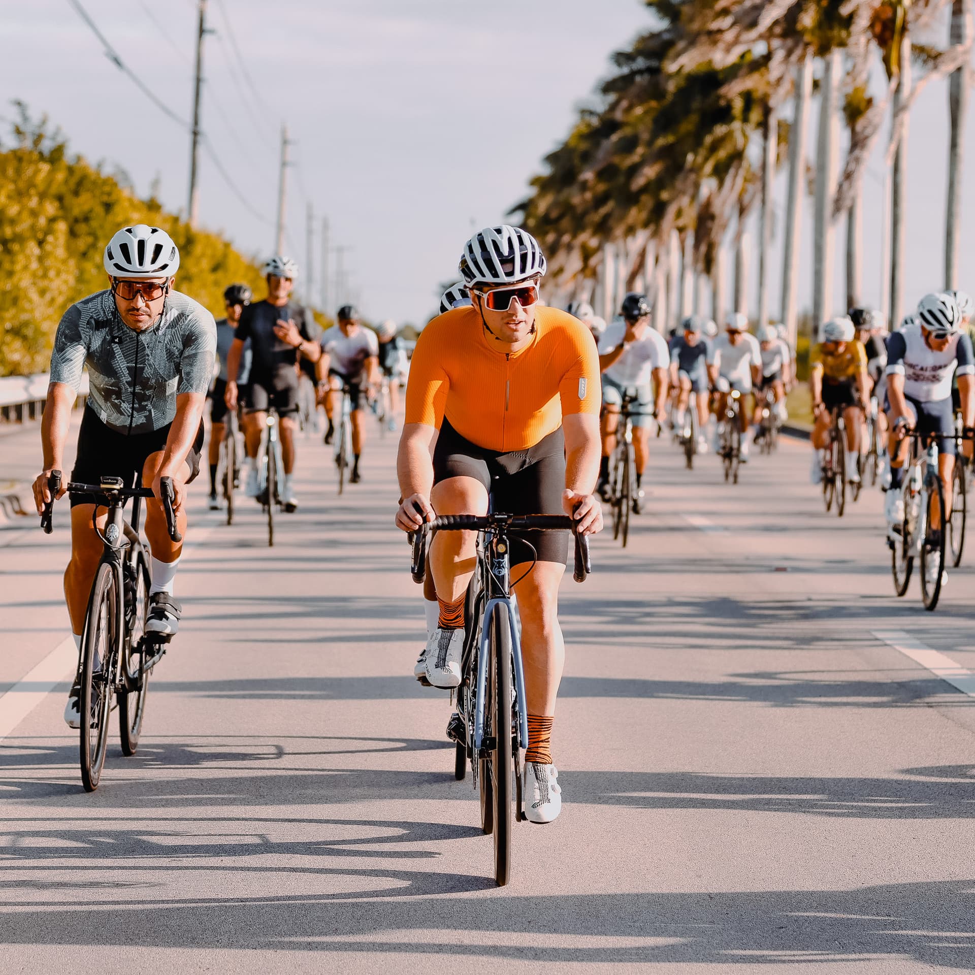 Cyclists riding a palm-lined Miami causeway during Ride Classique