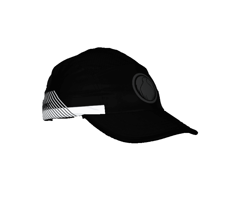 Phoenix Run Hat