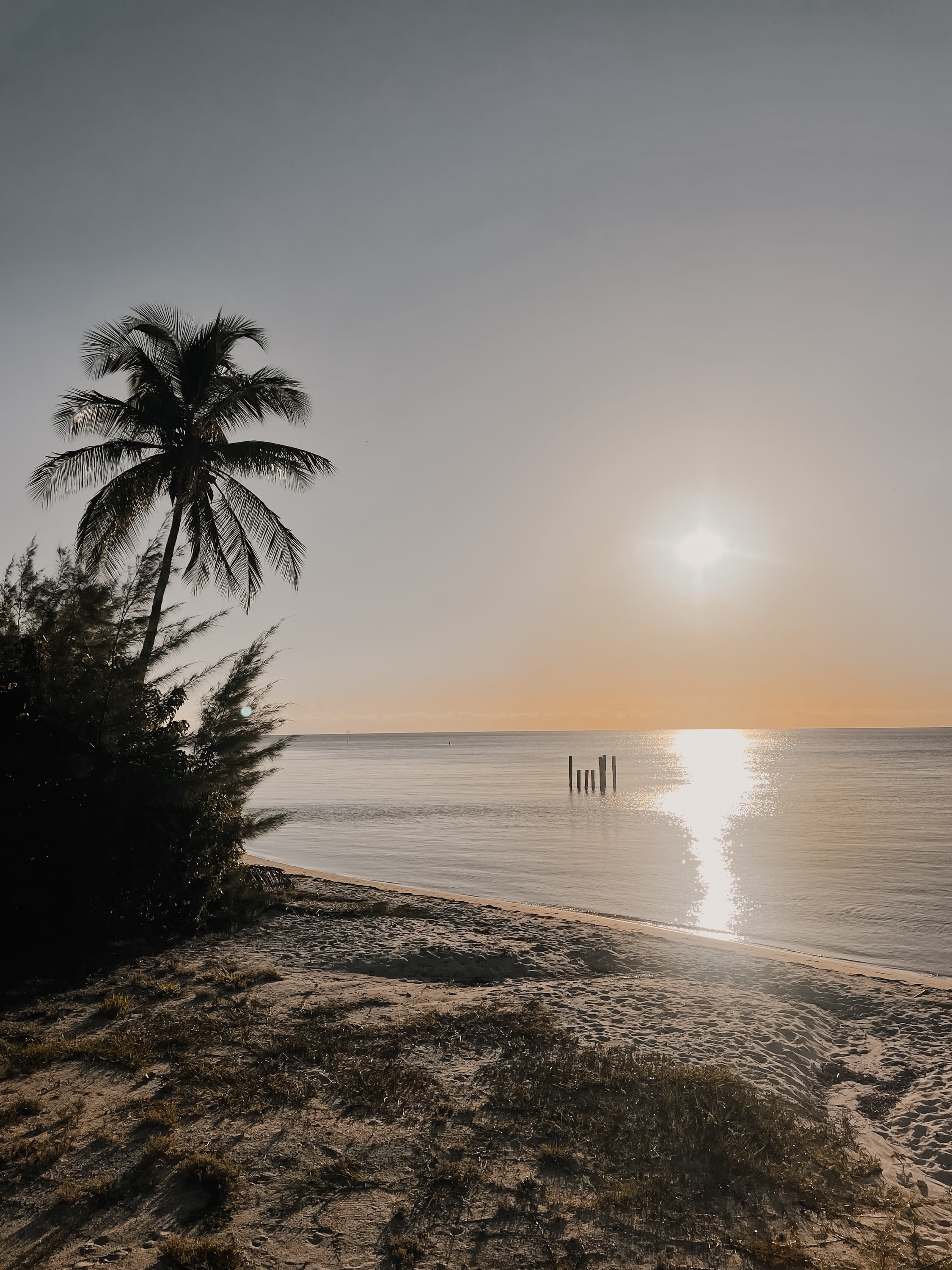 Ride Classique: Miami